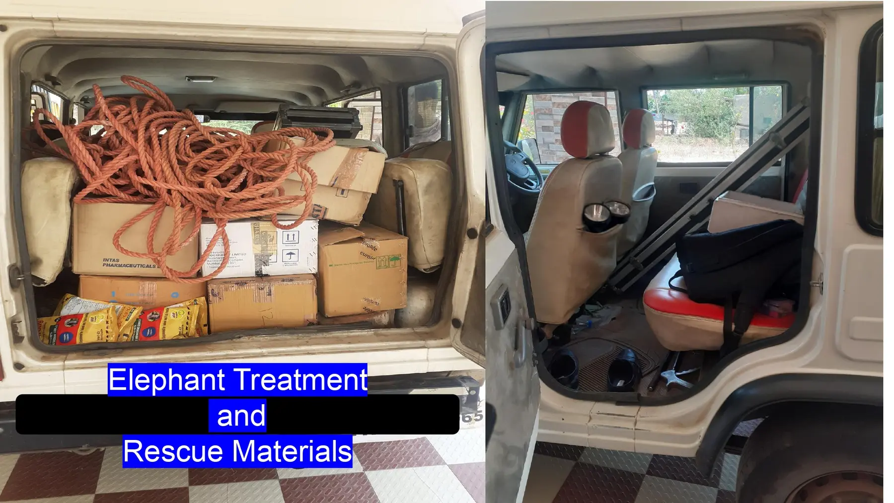 elephant rescue treatment equipment