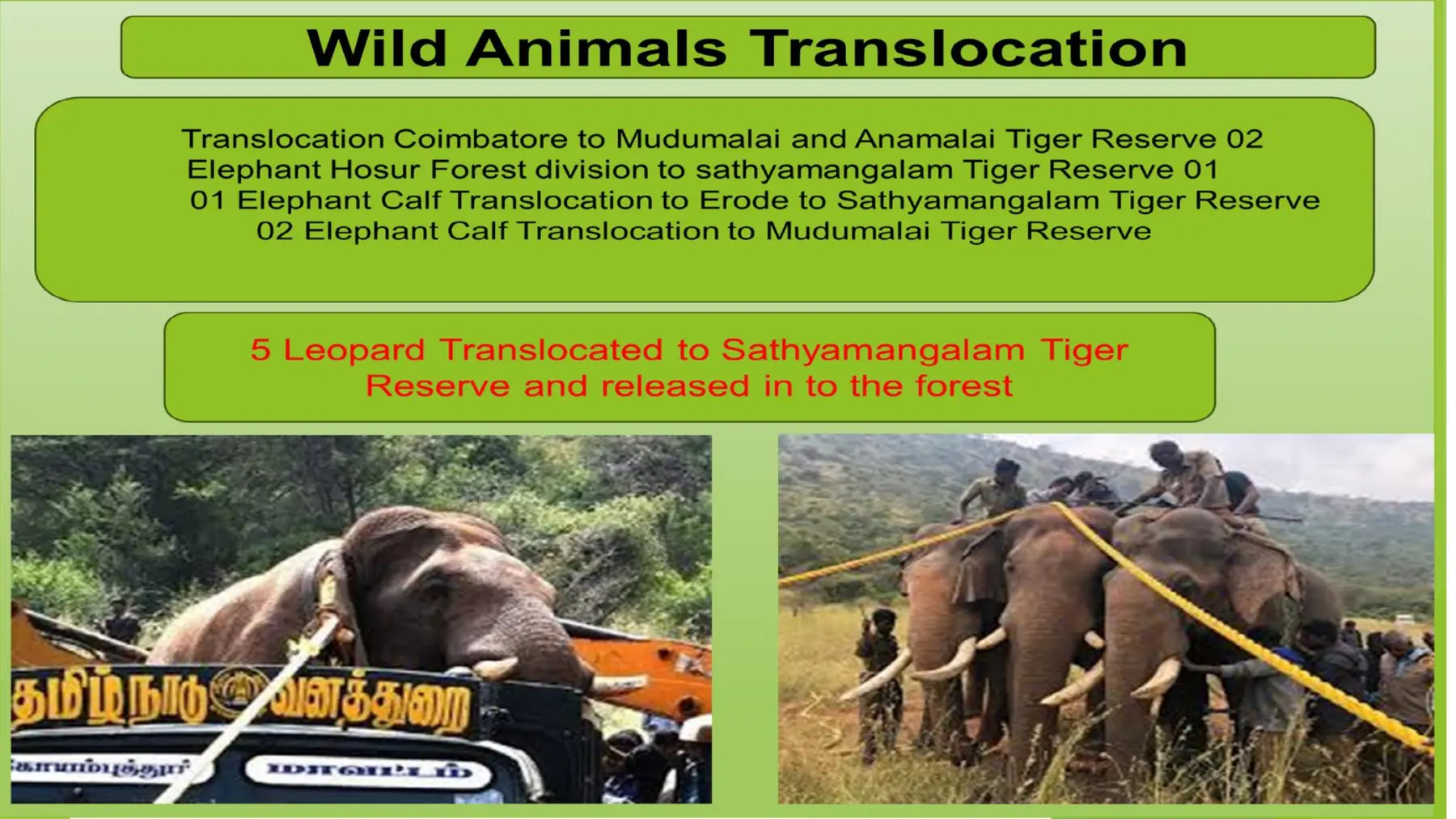 elephant translocation programme summary