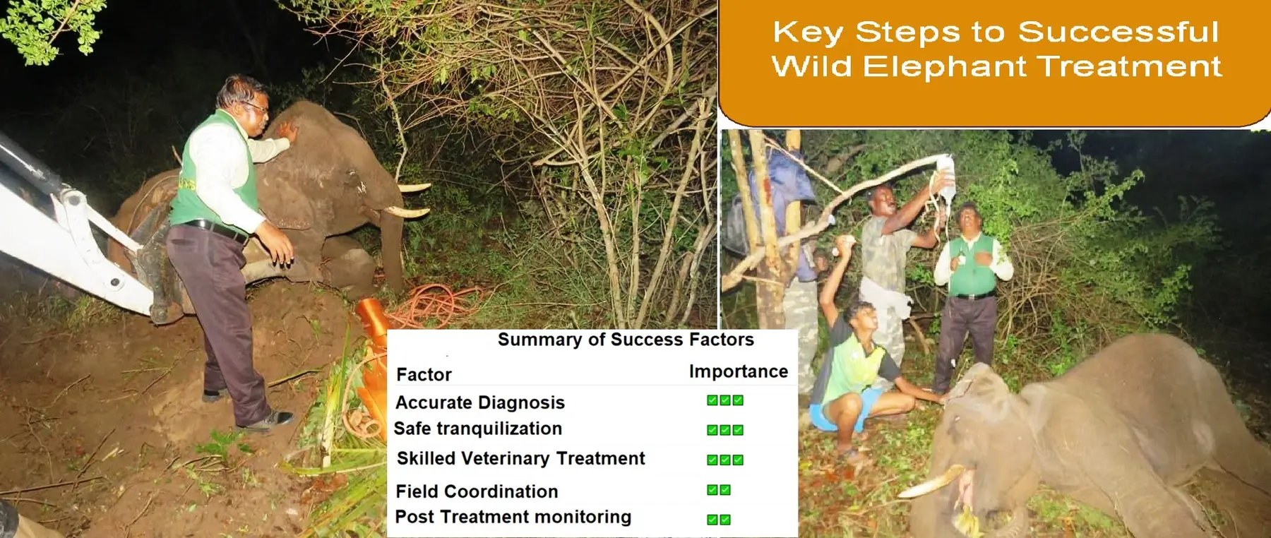 elephant treatment success factors