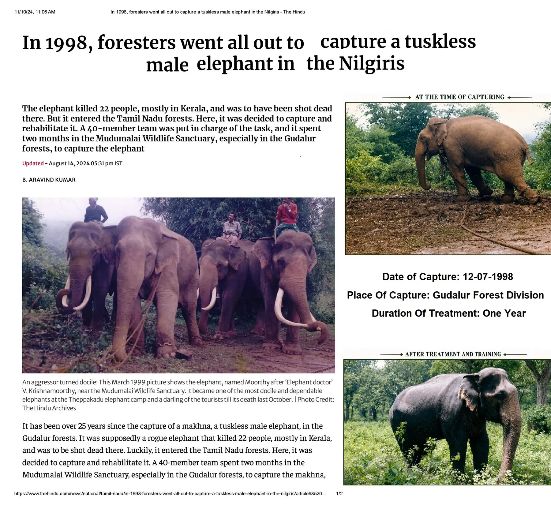 moorthy makhna capture rehabilitation news