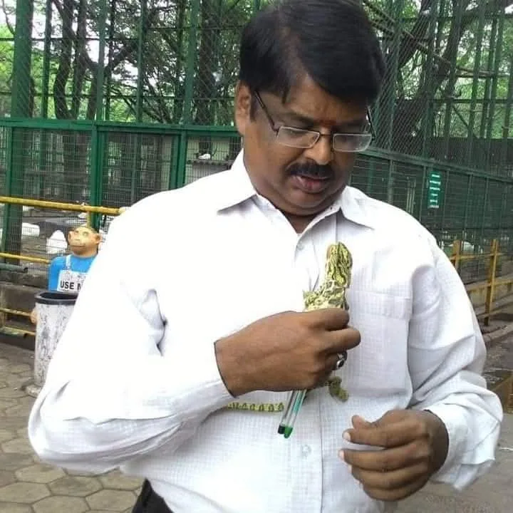 new  chameleon  wildlife veterinarian holding rescued chameleon
