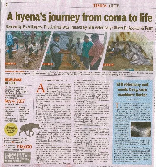 new  hyena  hyena coma recovery times city newspaper article