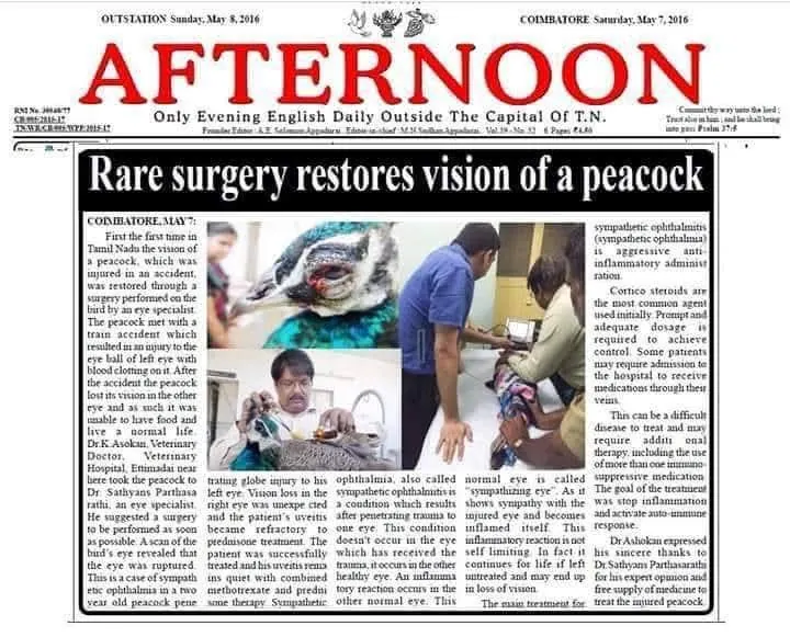 newspaper report peacock eye surgery