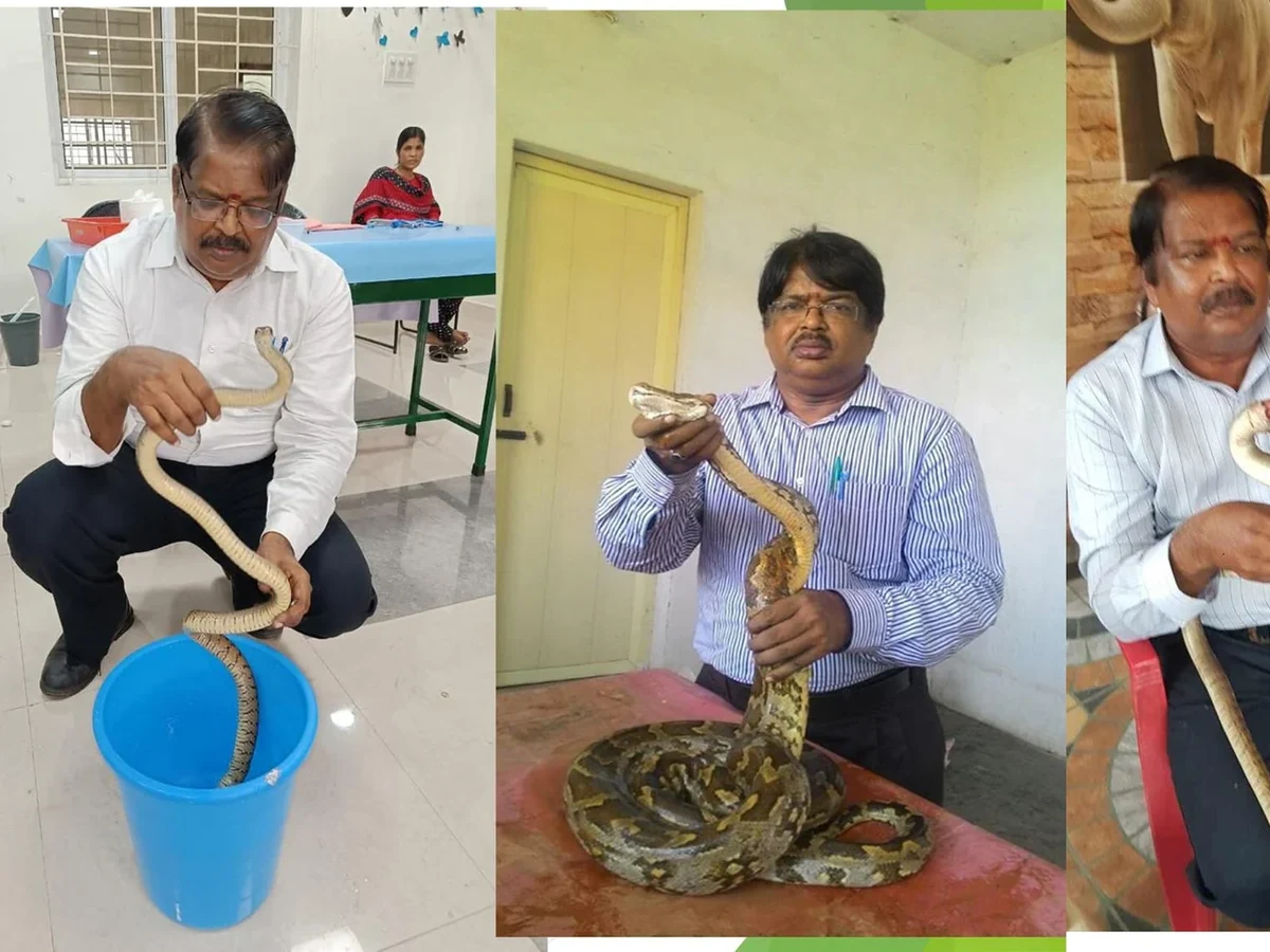 reptile rehabilitation release real