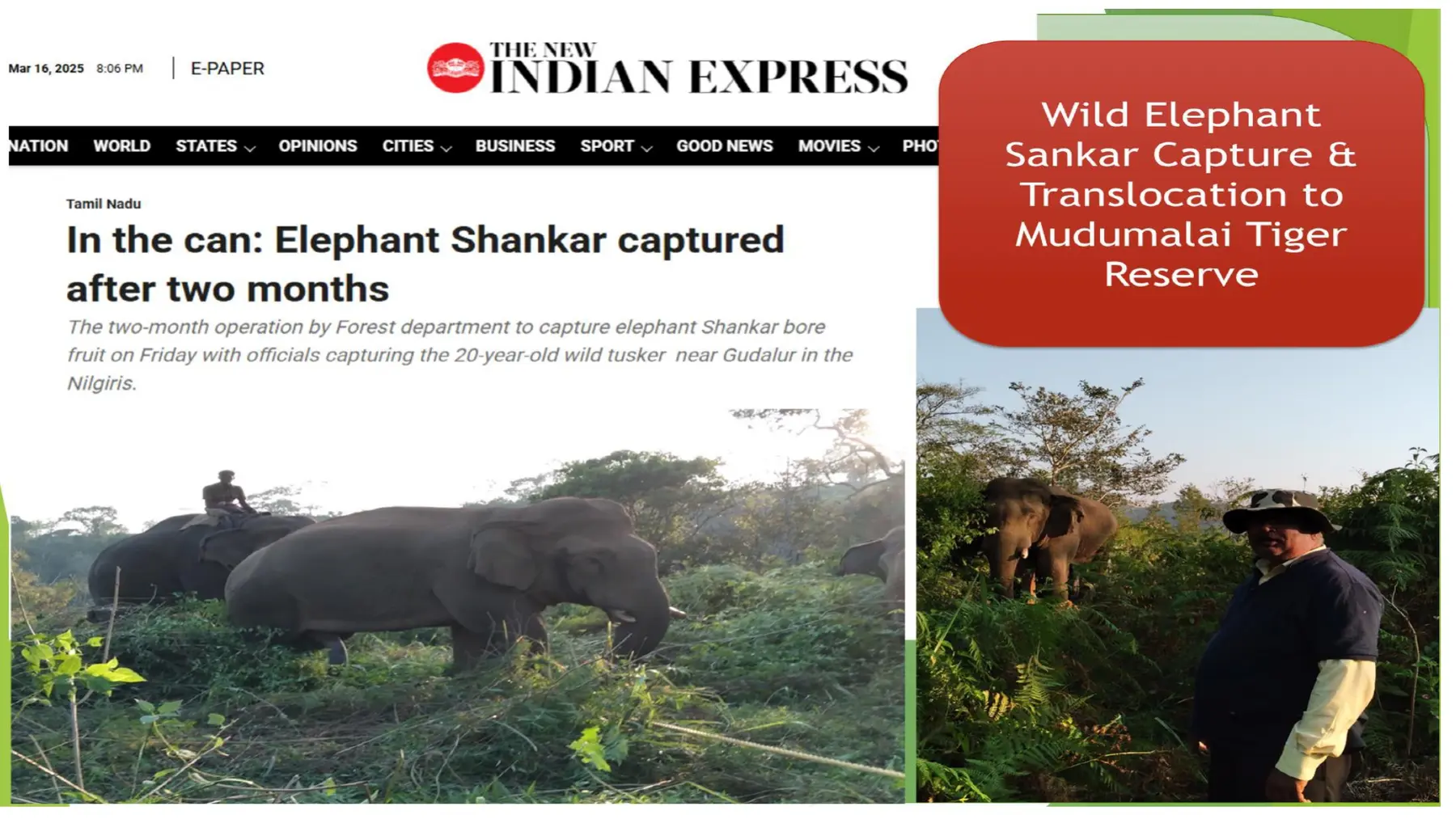 shankar elephant capture news record