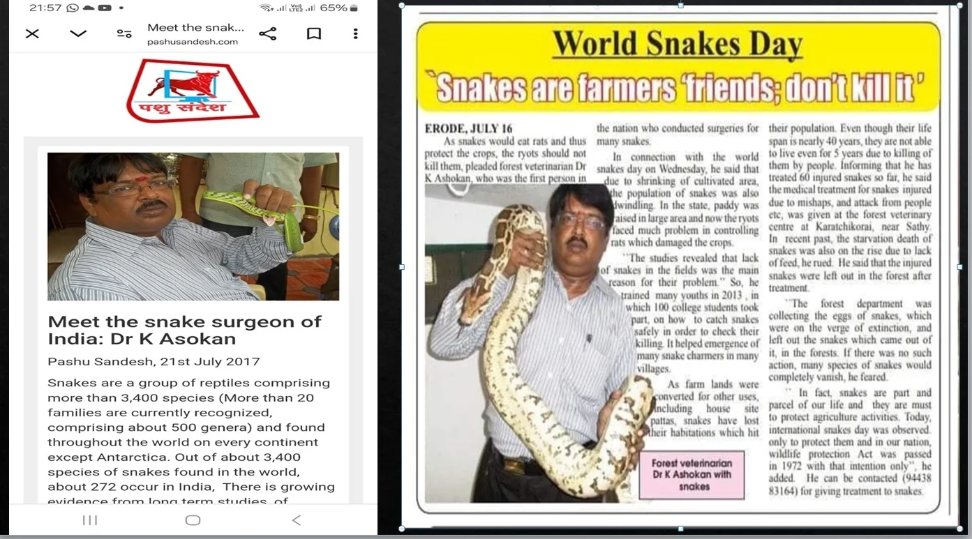 snake treatment 10