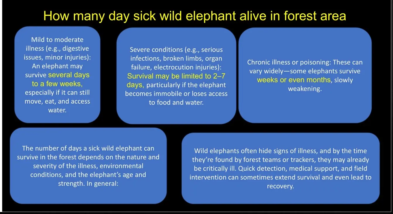 wildlife necropsy purpose overview