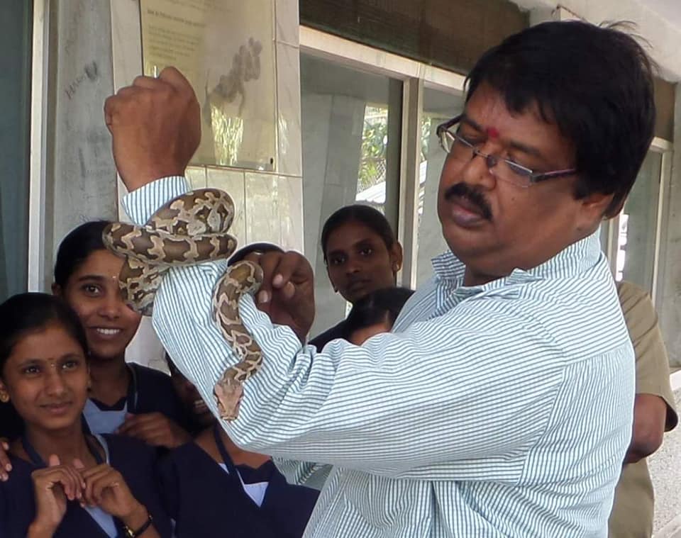 wildlife veterinarian administering injection to rescued snake
