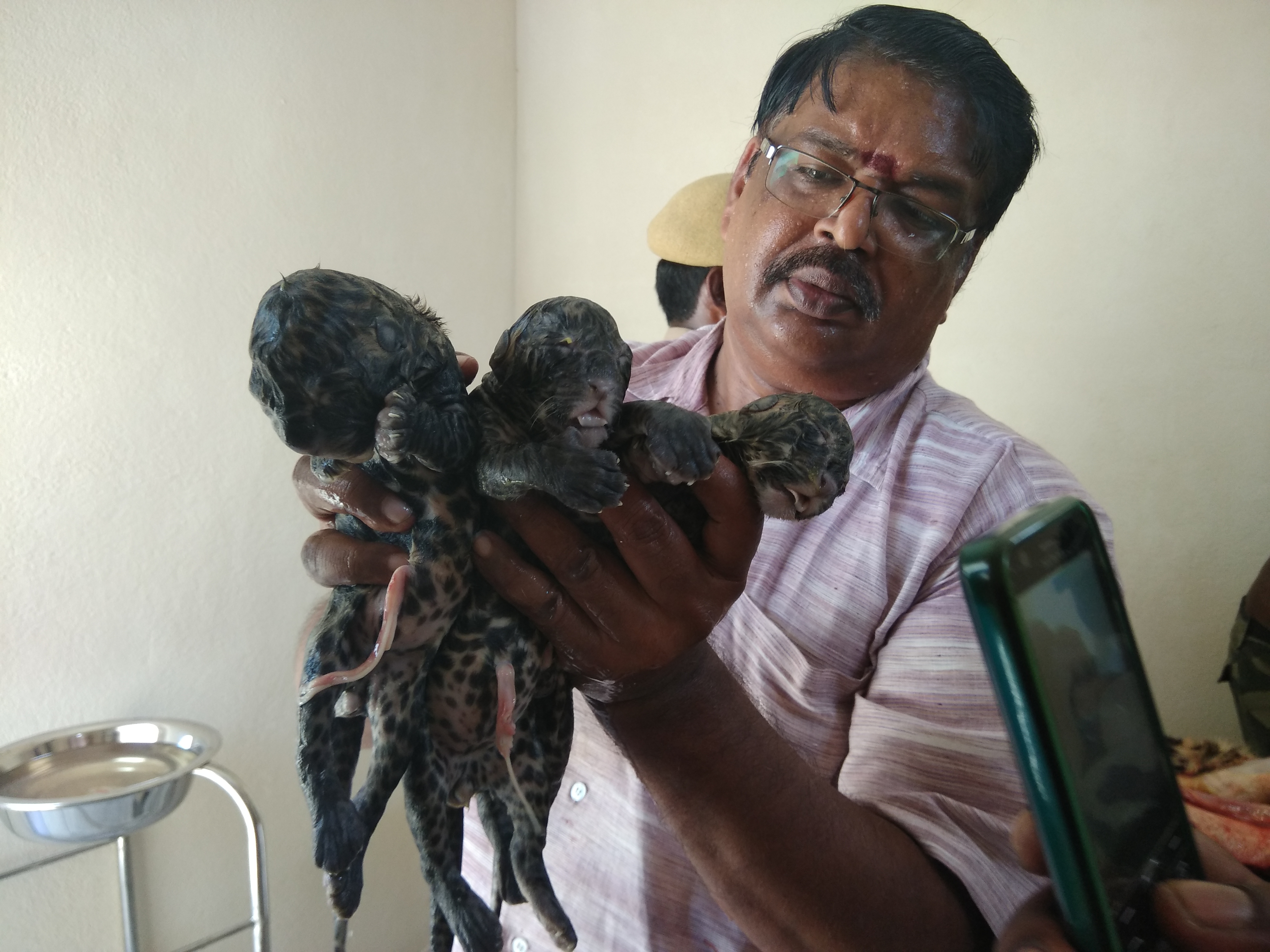 community programme 13