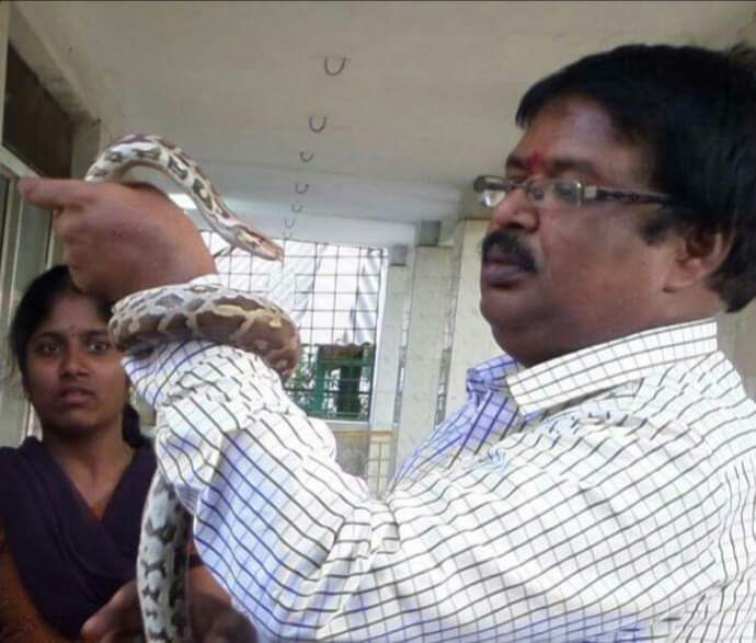 safe snake handling awareness real
