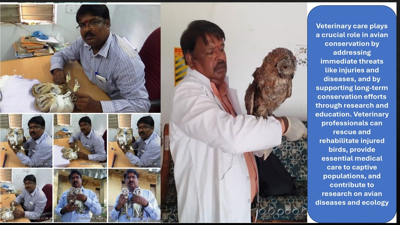 birt1