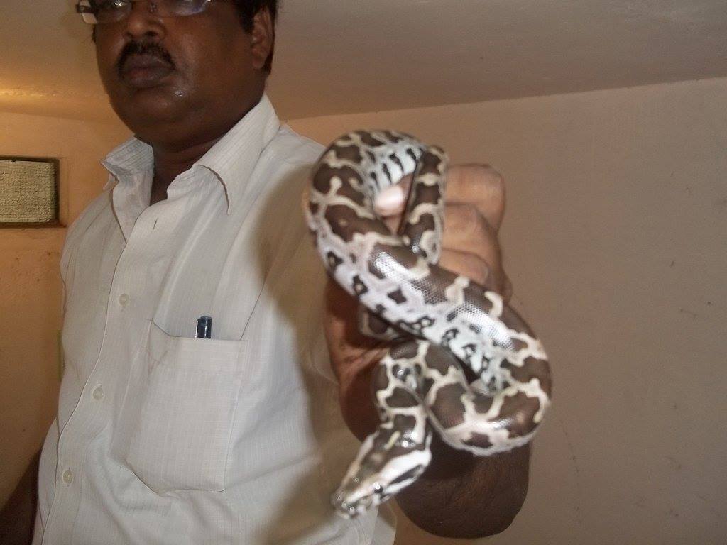 FB IMG 1563246378765