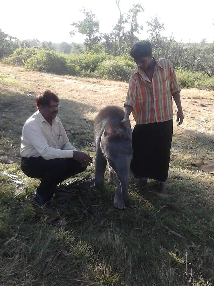 FB IMG 1635698219310