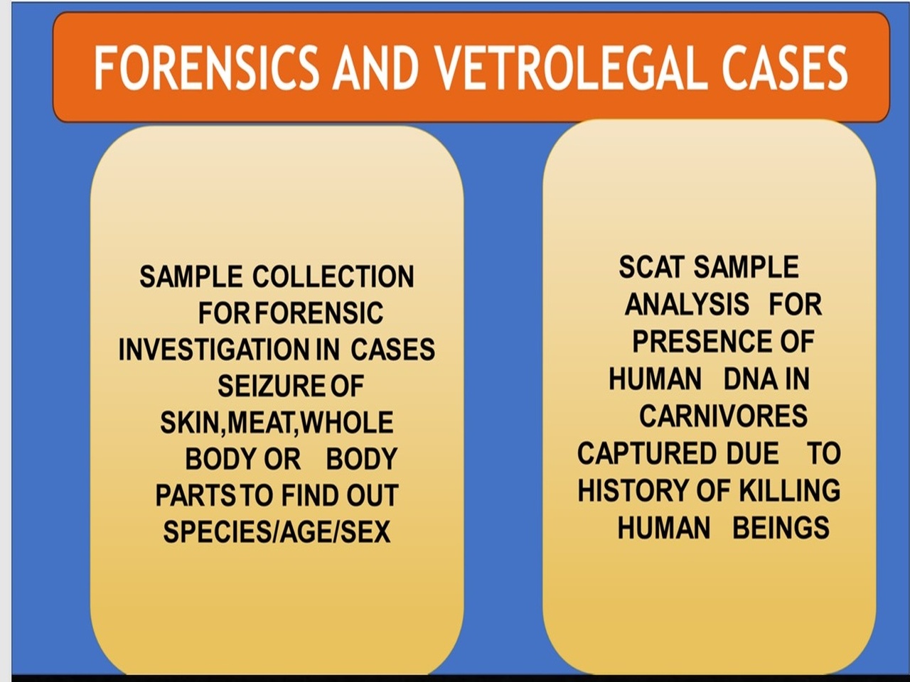 forensics same size