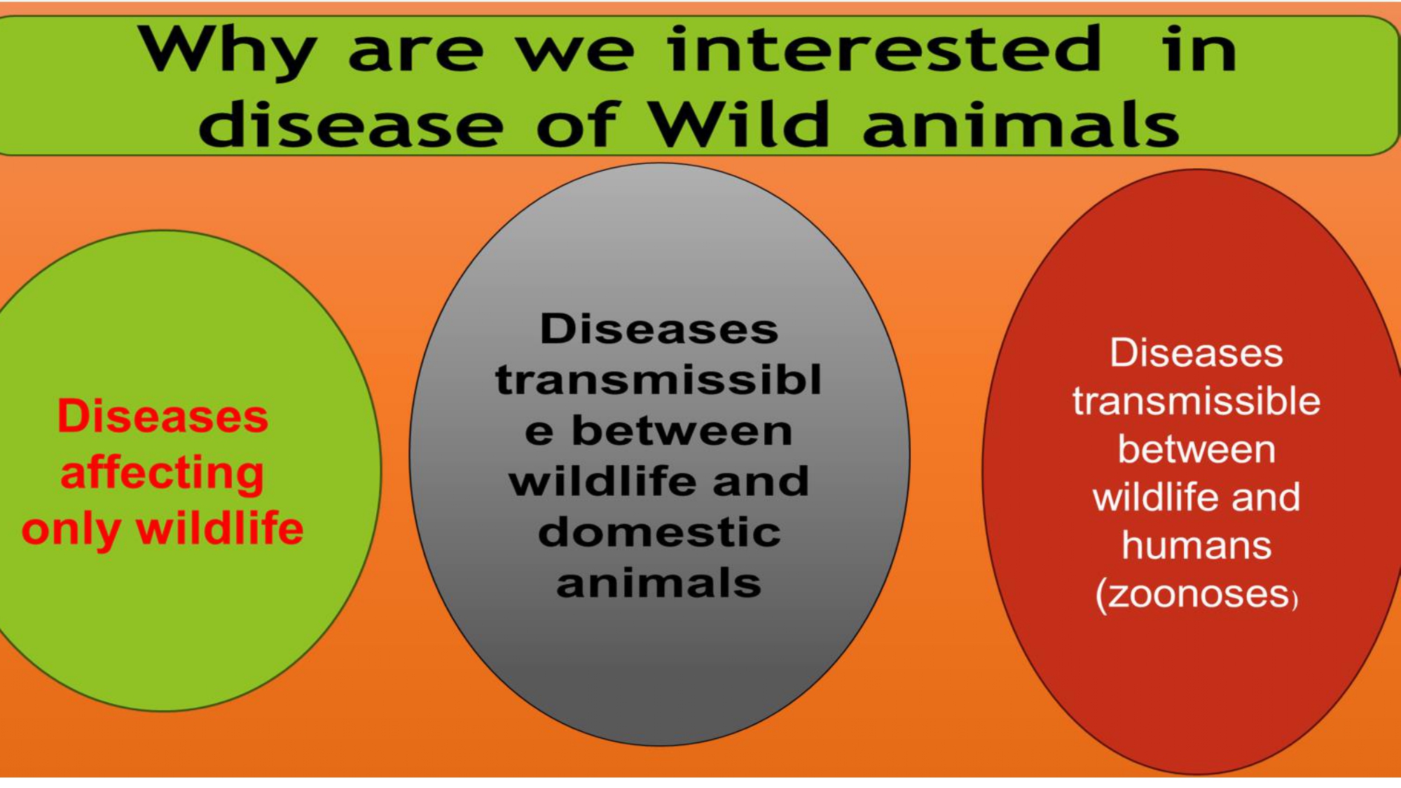 Presentation2 page 0013
