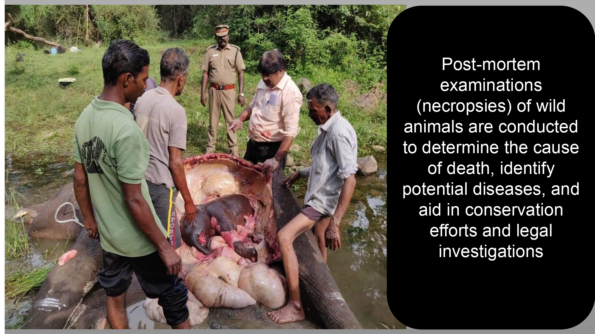 Presentation2 page 0222