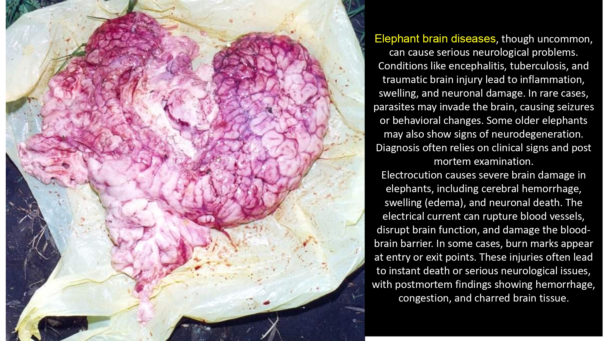 Presentation2 page 0224
