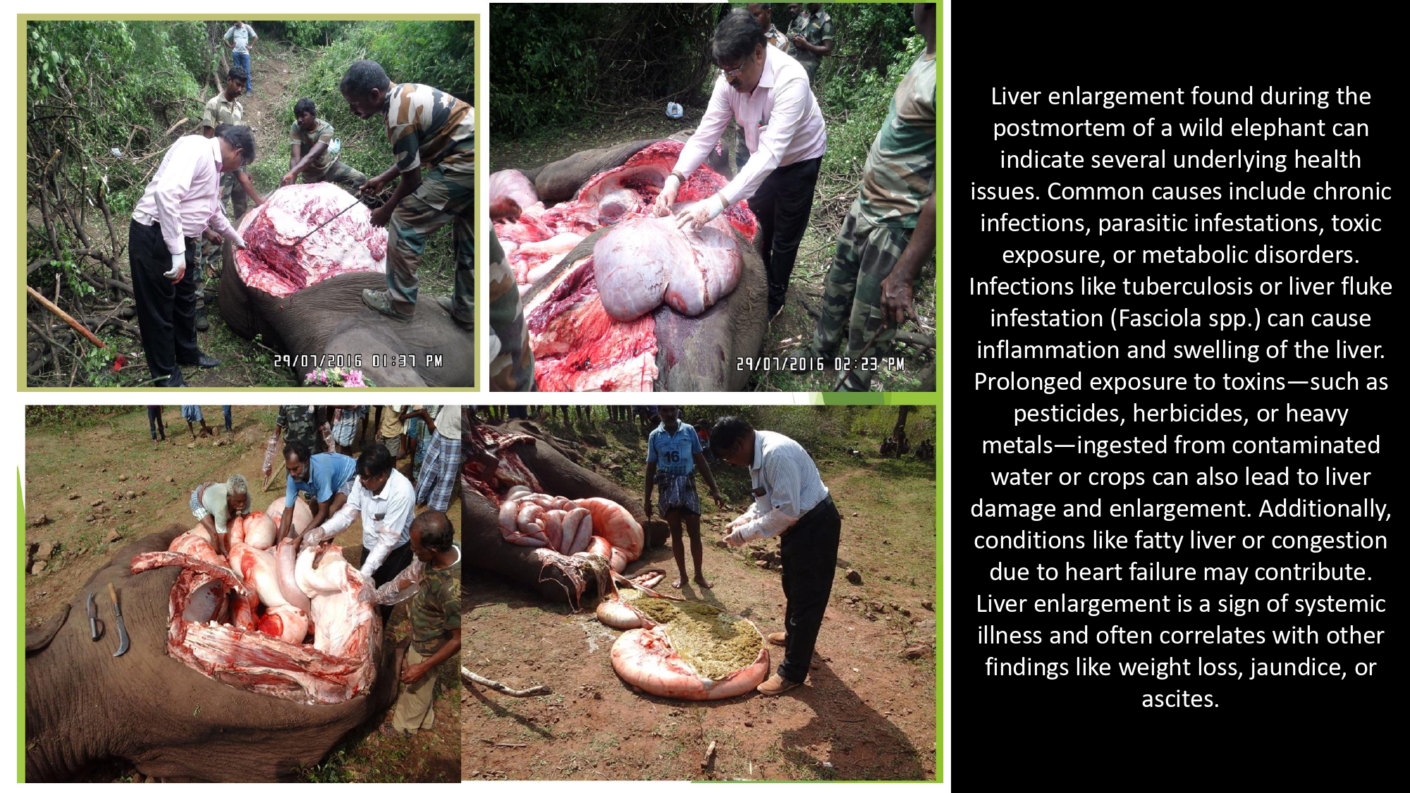 Presentation2 page 0235