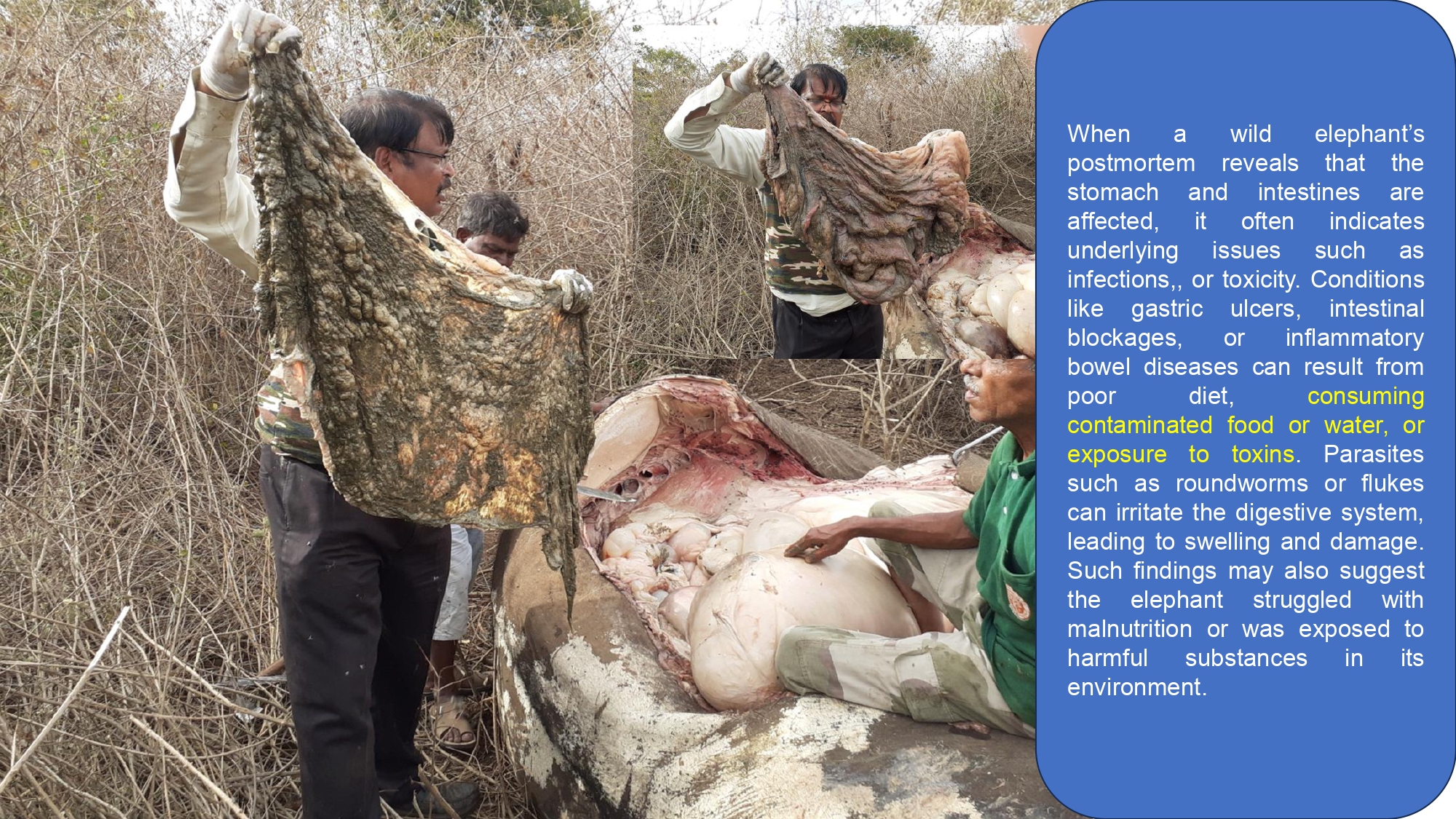 Presentation2 page 0241