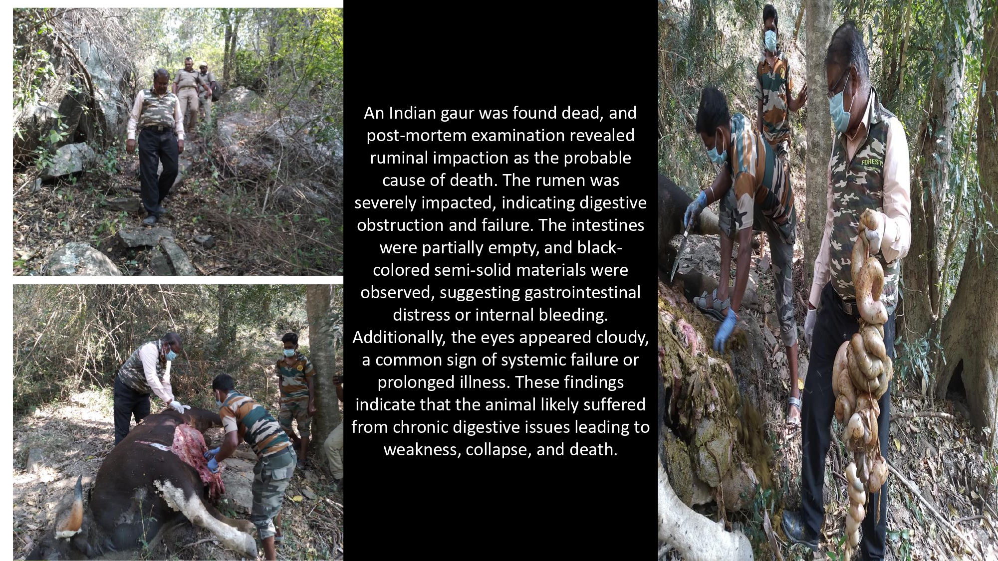 Presentation2 page 0255