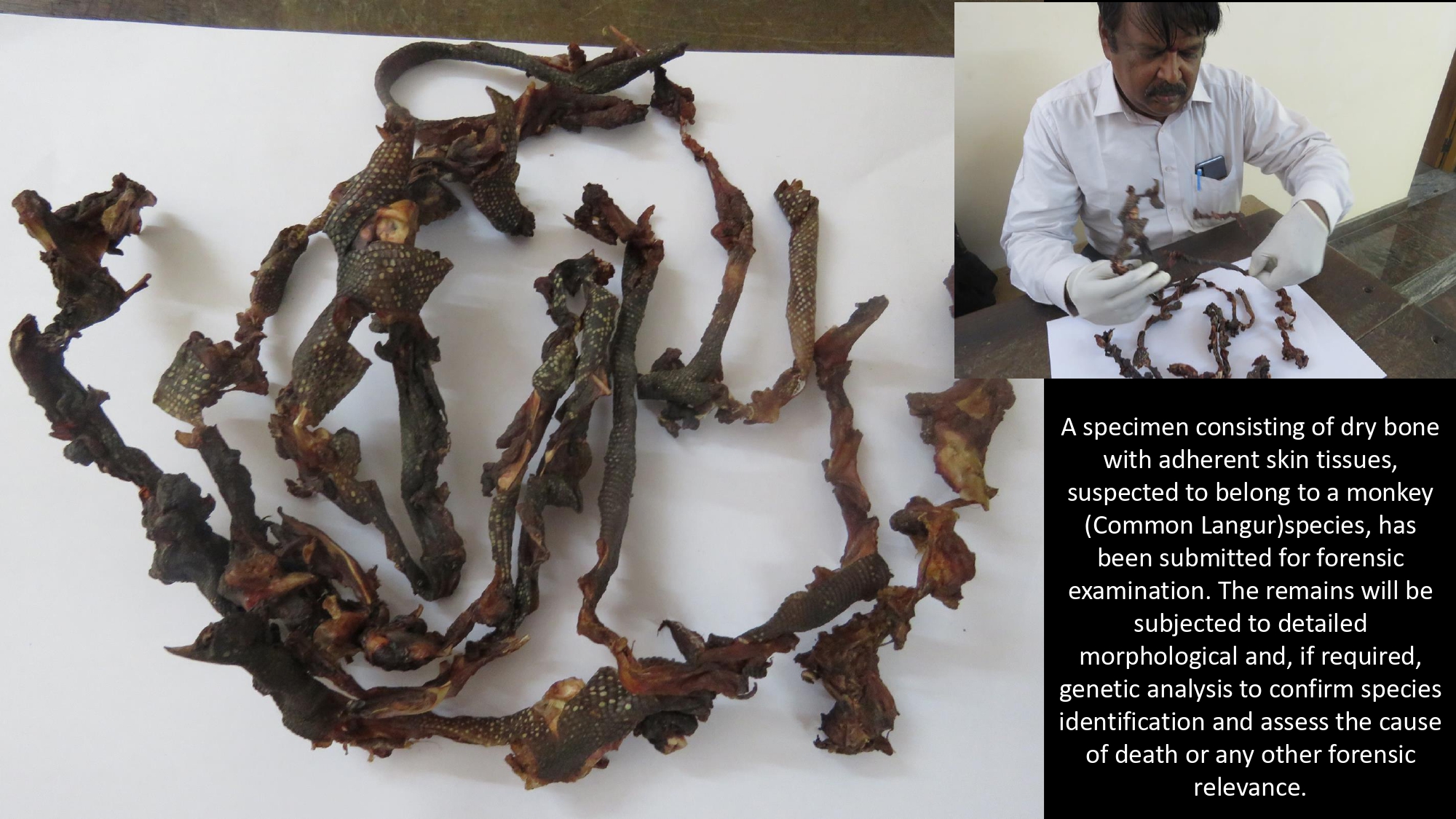 Presentation2 page 0275