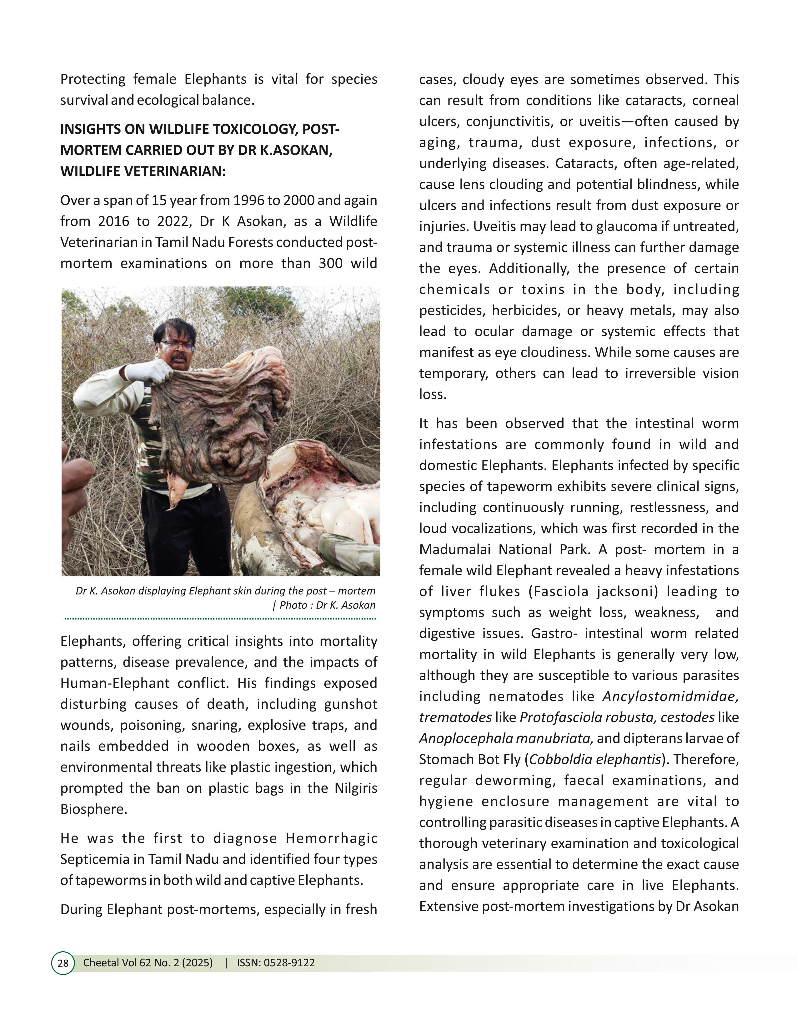 Vol. 62 No. 2 (2025) images 29