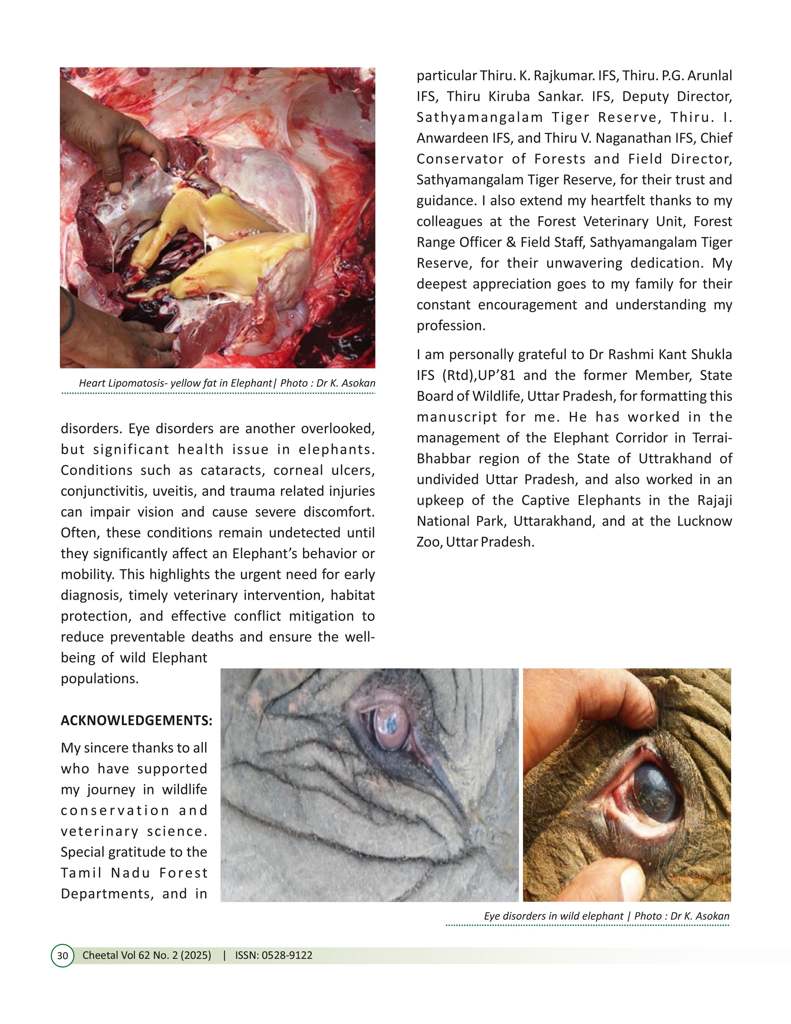 Vol. 62 No. 2 (2025) images 31