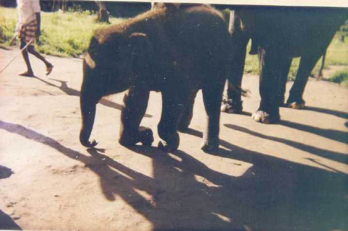 IMG 20251205 WA0297