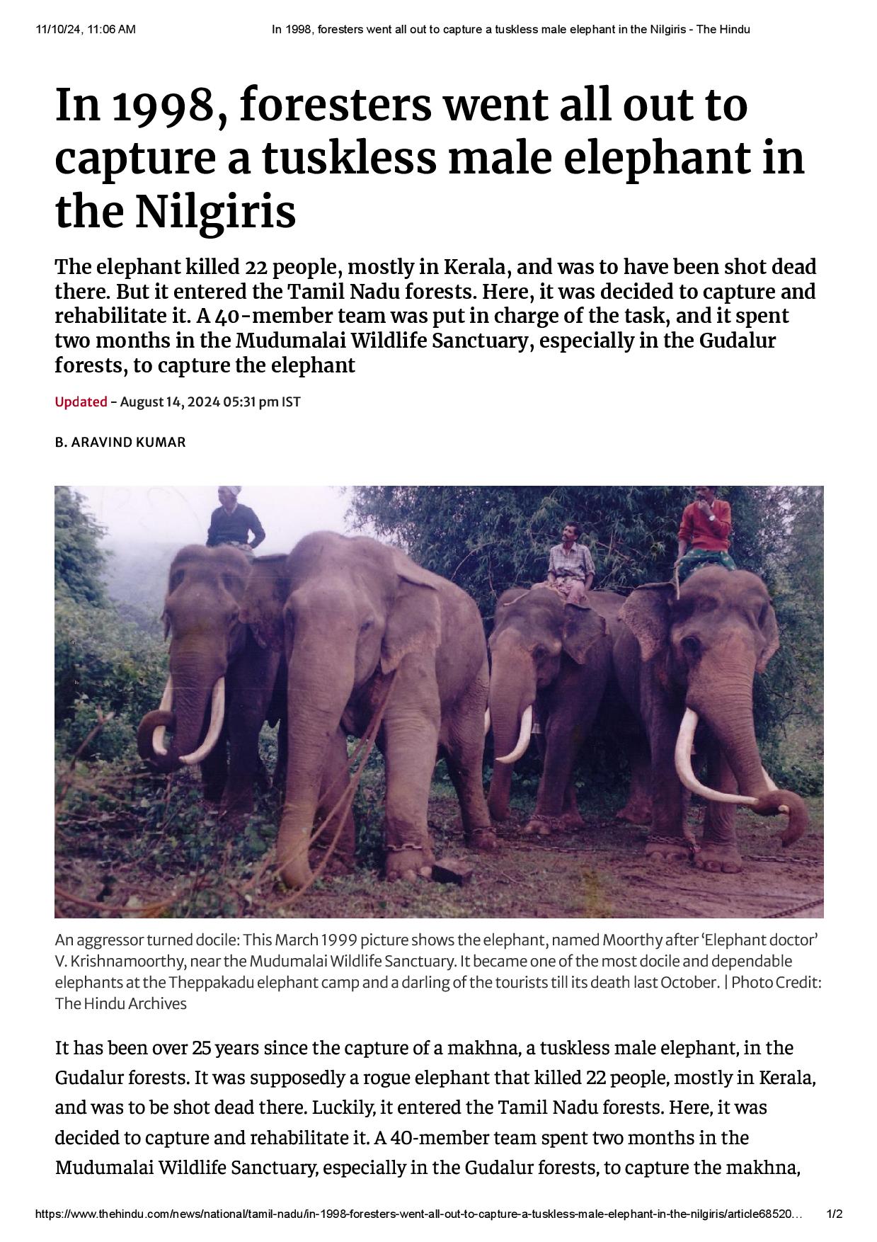 In 1998, foresters went all out to capture a tuskless male elephant in the Nilgiris The Hindu page 001